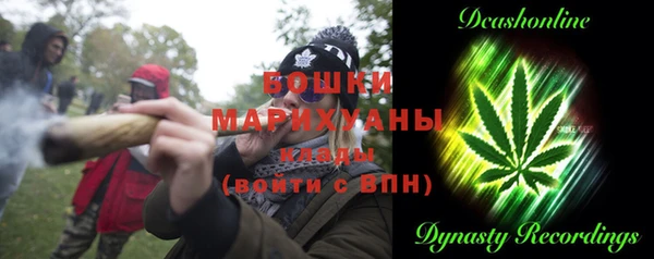 прущие грибы Аркадак
