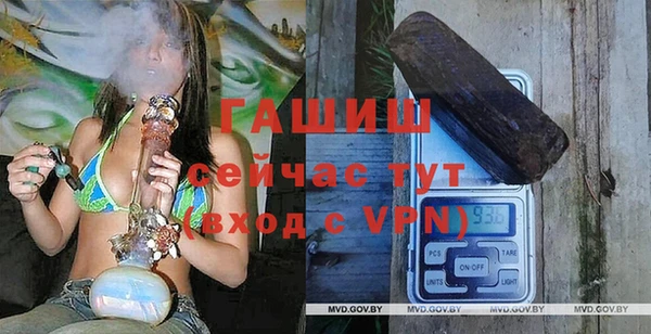 прущие грибы Аркадак