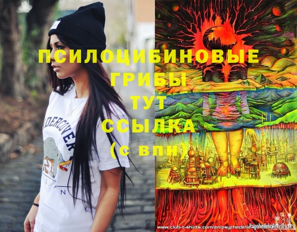 прущие грибы Аркадак