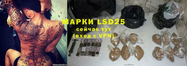 прущие грибы Аркадак