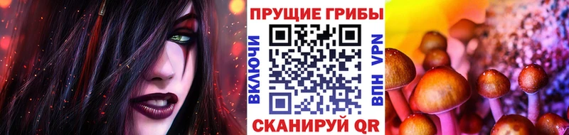 купить наркотик  Сельцо  Псилоцибиновые грибы Psilocybe 
